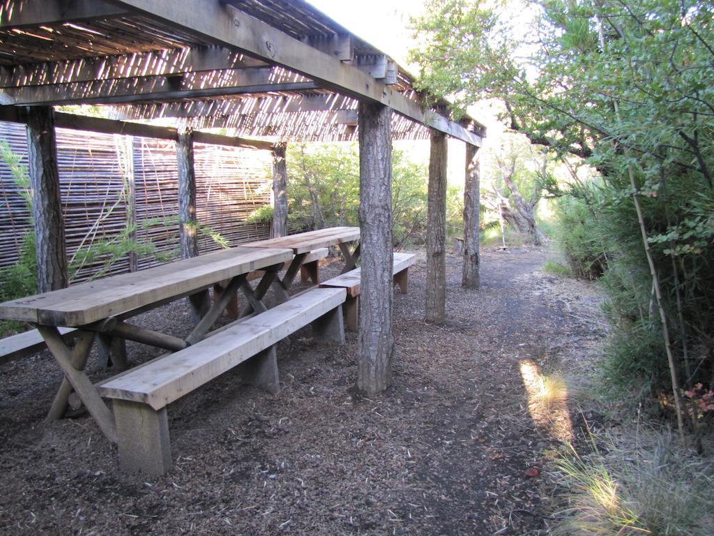 Refugio Ecobox Andino Villa Las Trancas Buitenkant foto